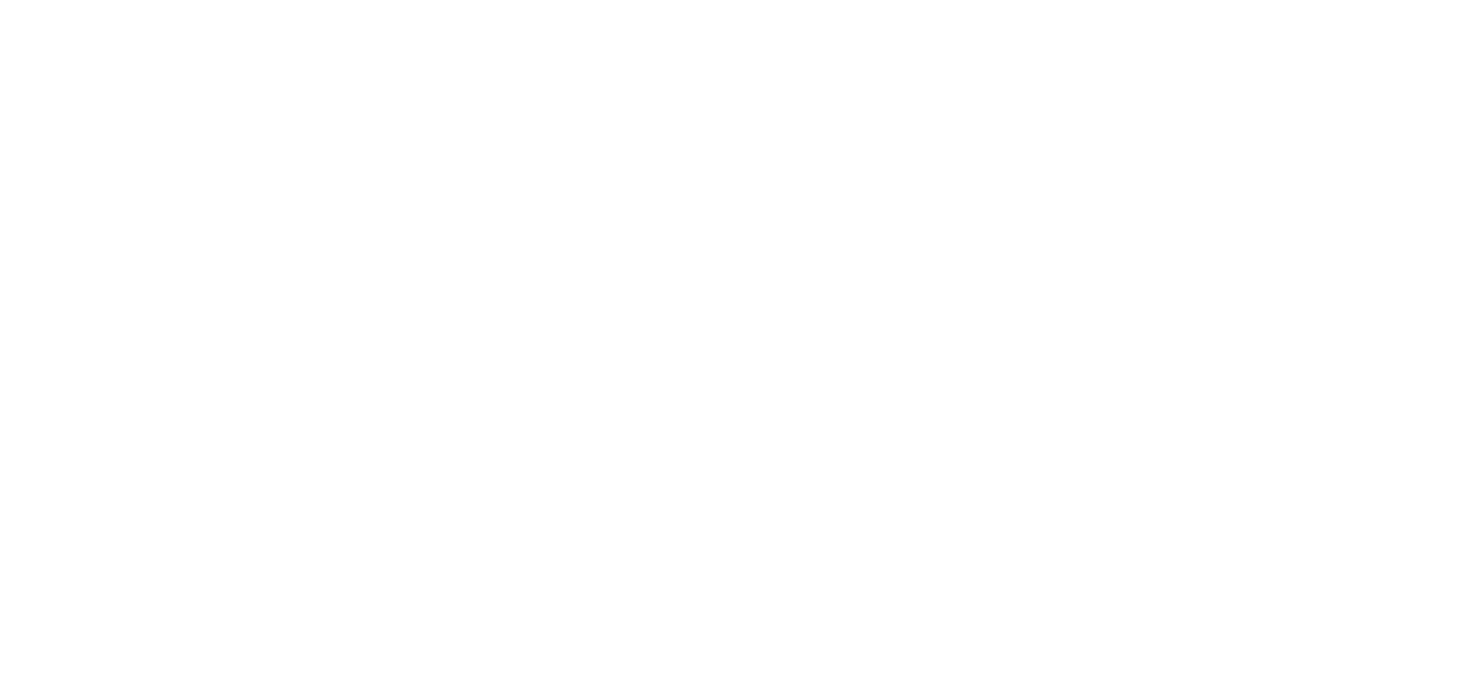 light logo