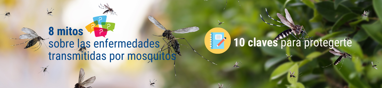 8 mitos sobre las enfermedades transmitidas por mosquitos y 10 claves para protegerte